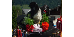 Seniorenfahrt an den Walchsee/Tiro (Foto: Helmut Hocke)
